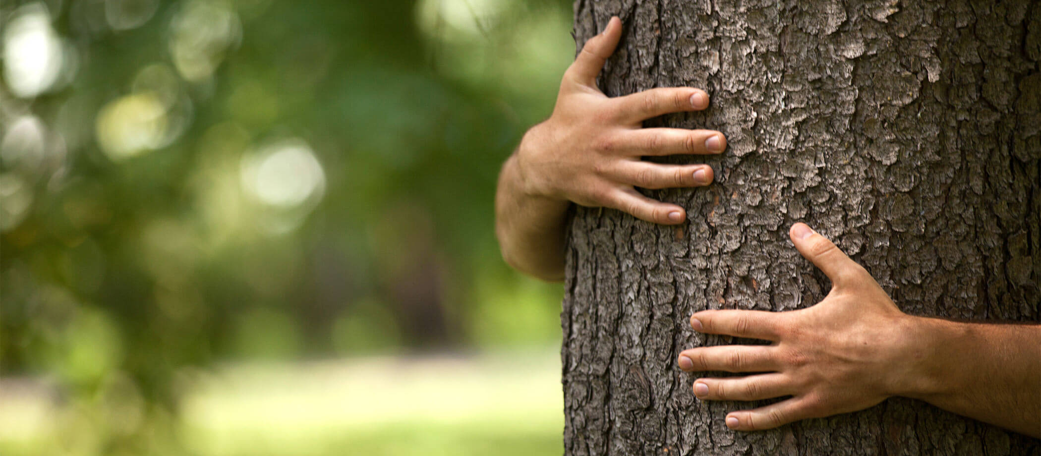 Какие деревья лечат. Рука обхватывает. Руки обнимают что то. Tree hugging. Motivation Tree.